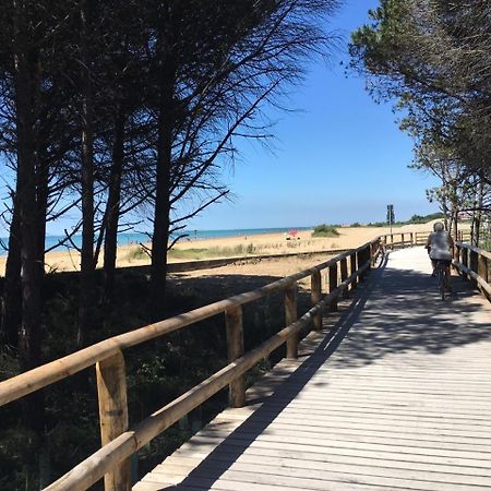 Appartamenti Livenza Bibione Ngoại thất bức ảnh